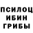 Псилоцибиновые грибы мицелий Diana Teslua